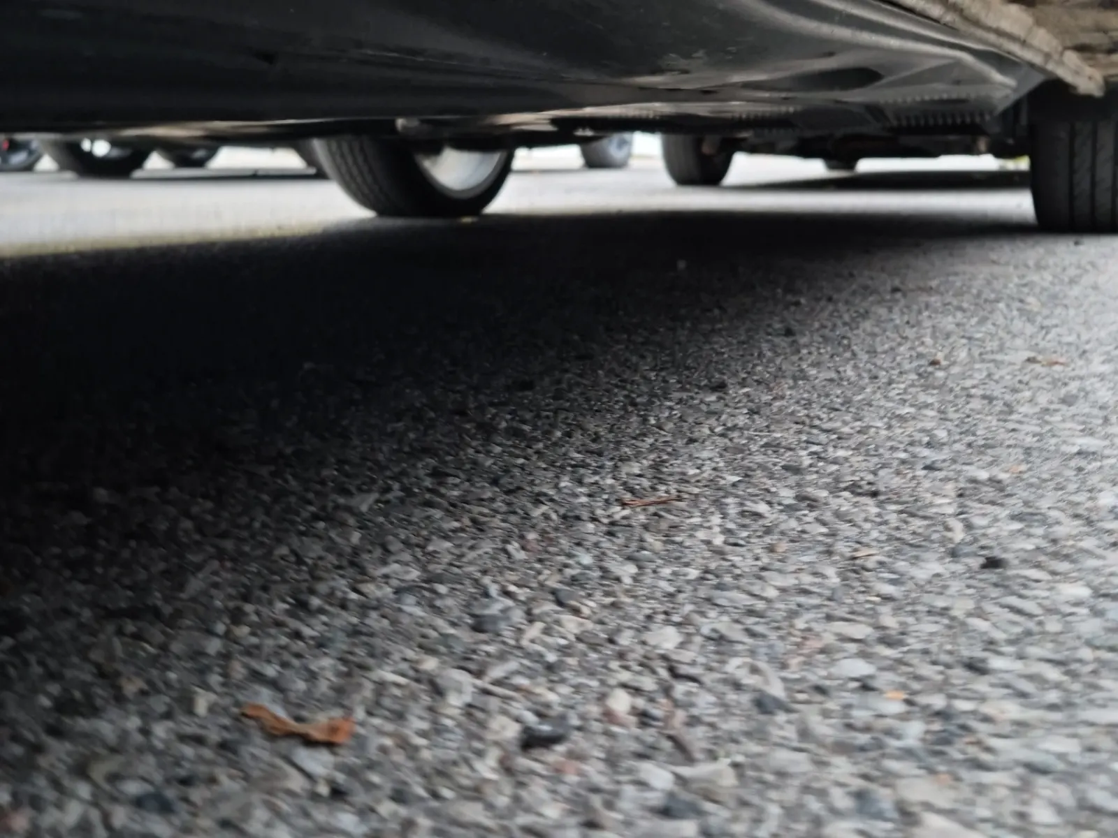 Undercarriage - Driver Photo