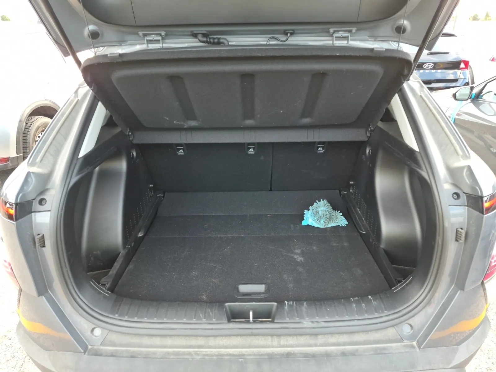 Cargo Area Photo