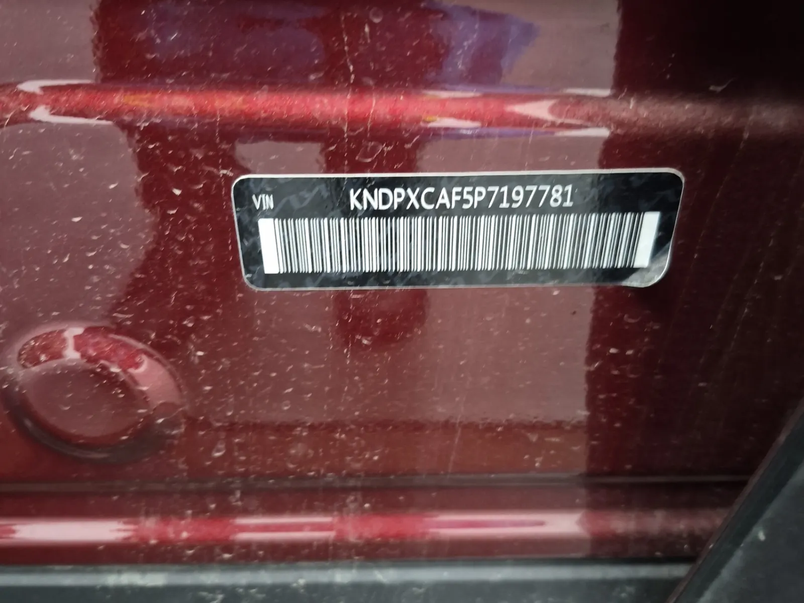 VIN Sticker Photo
