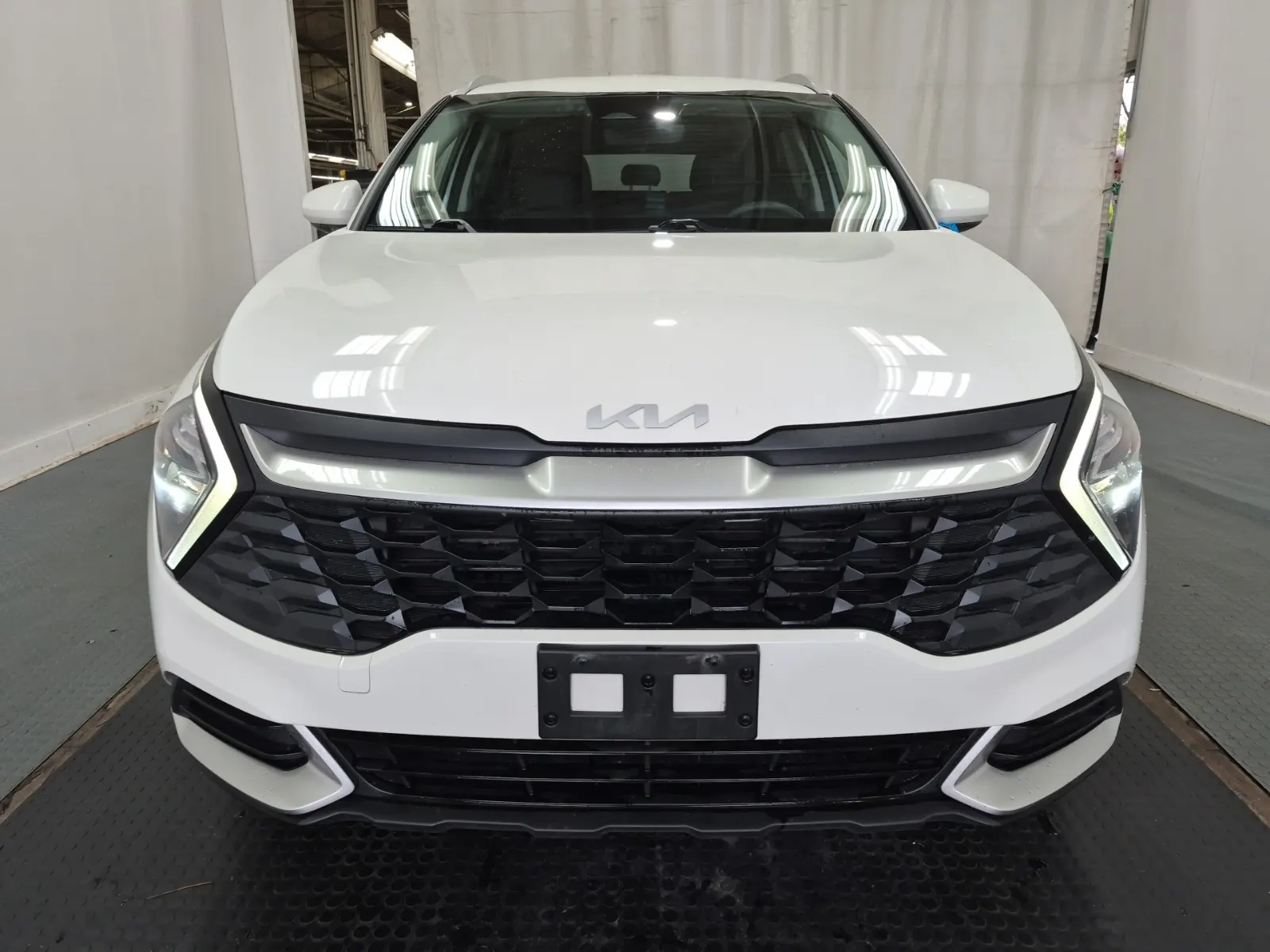 Full Front Photo