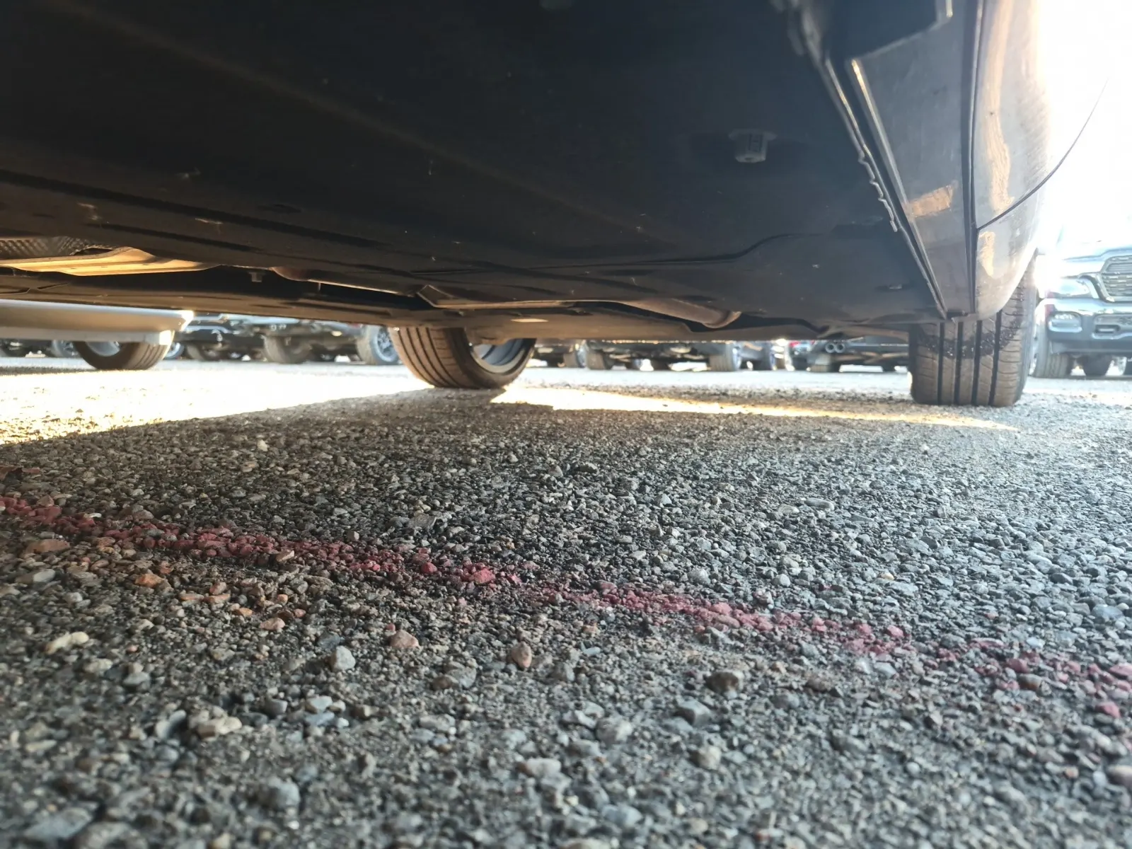 Undercarriage - Passenger Photo