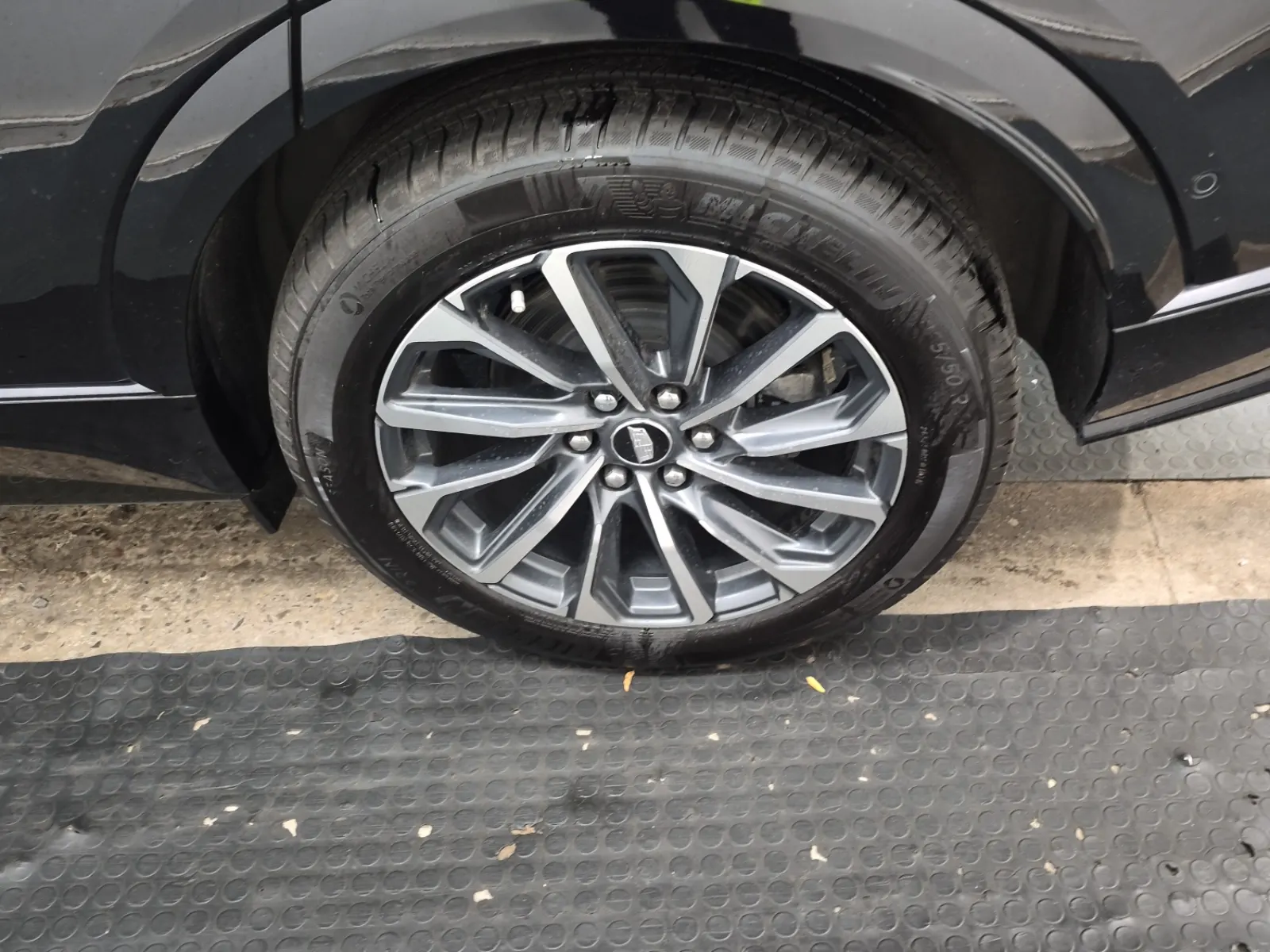 Left Rear Wheel/Tire Photo