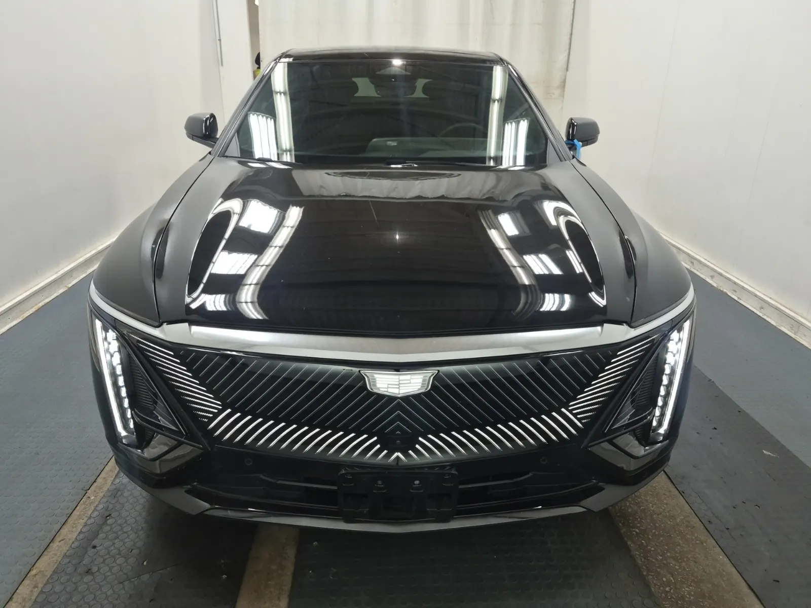 Full Front Photo