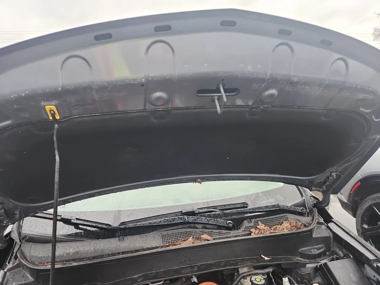 Emission Sticker Photo