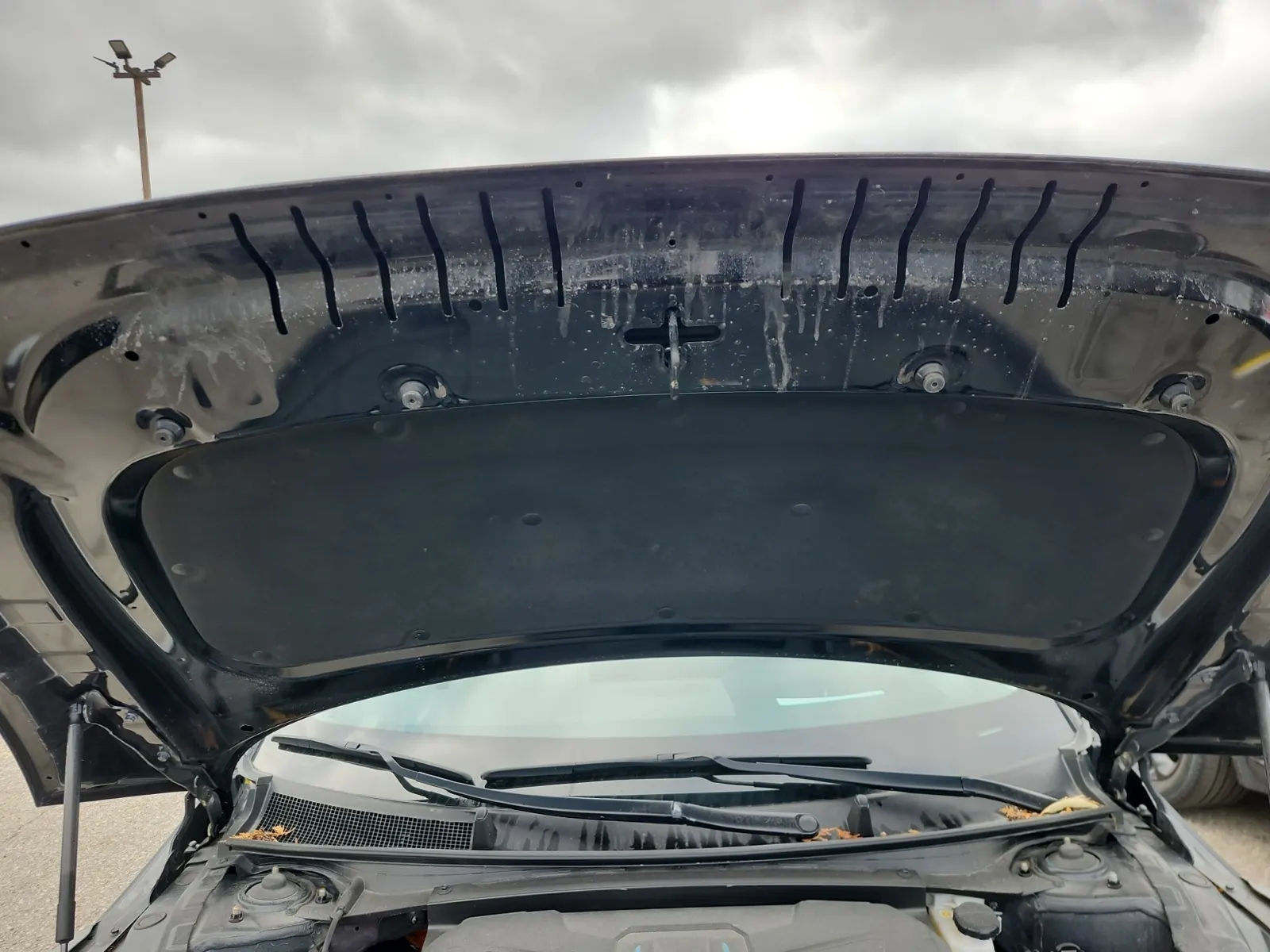 Emission Sticker Photo
