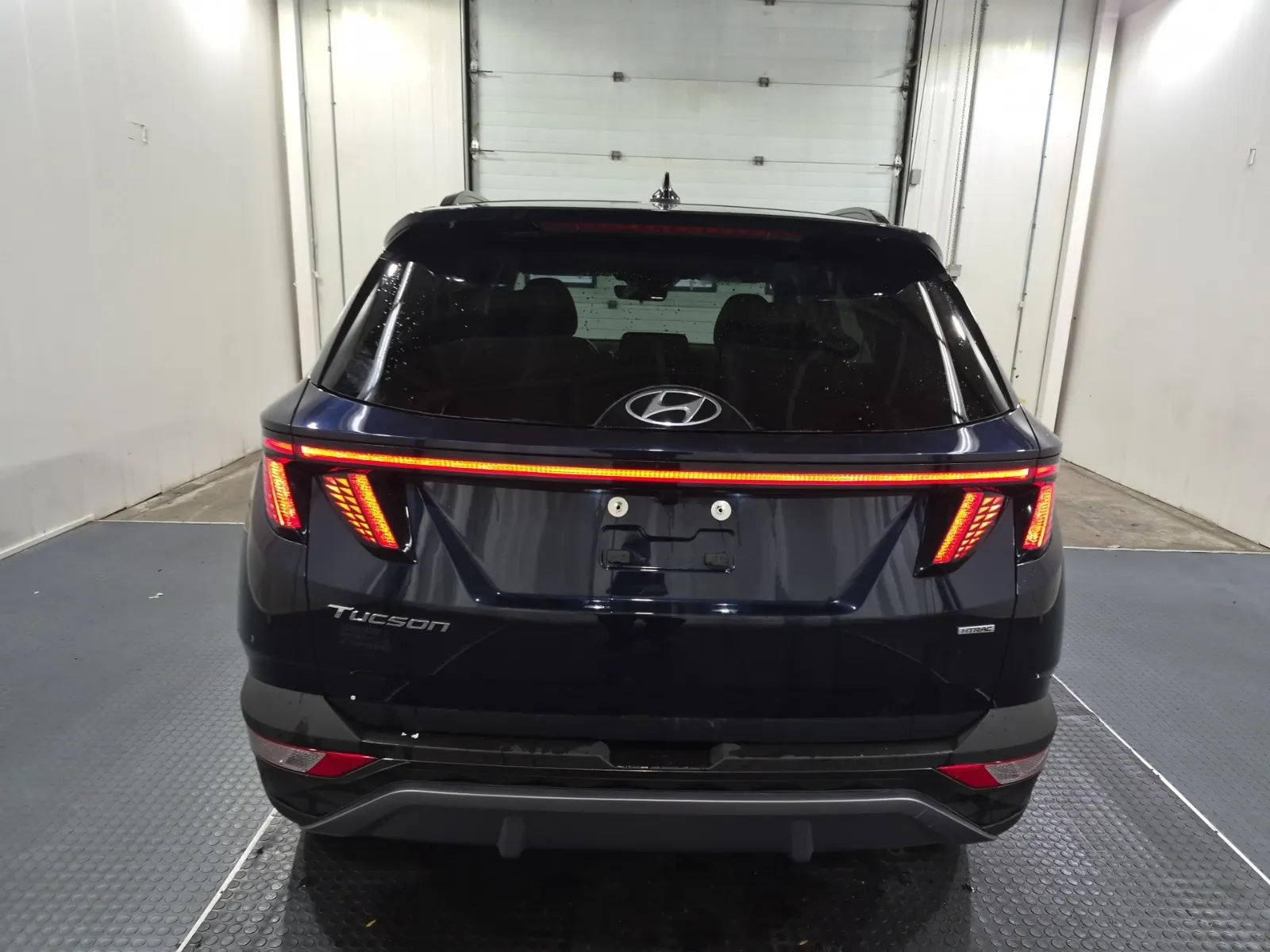 Full Rear Photo