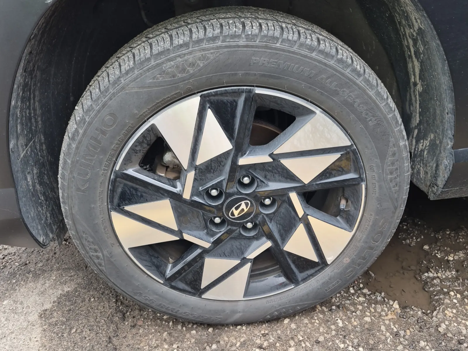 Front driver wheel/tire photo