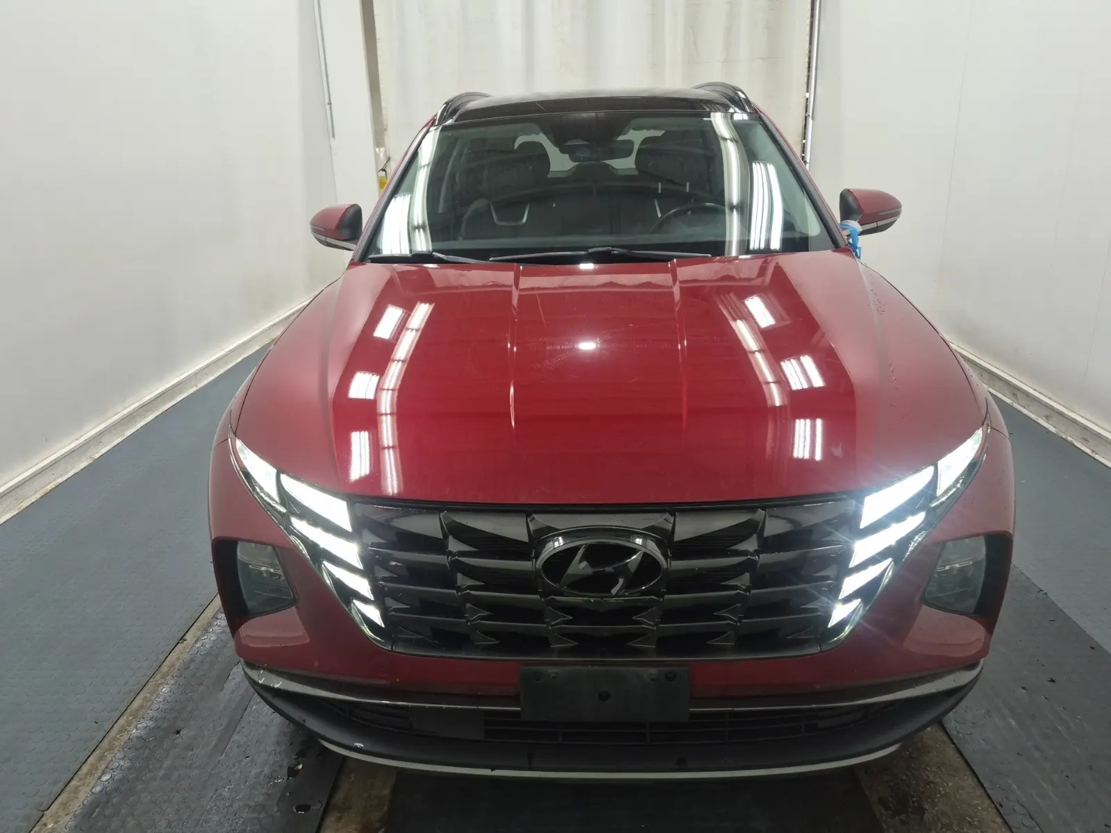 Full Front Photo