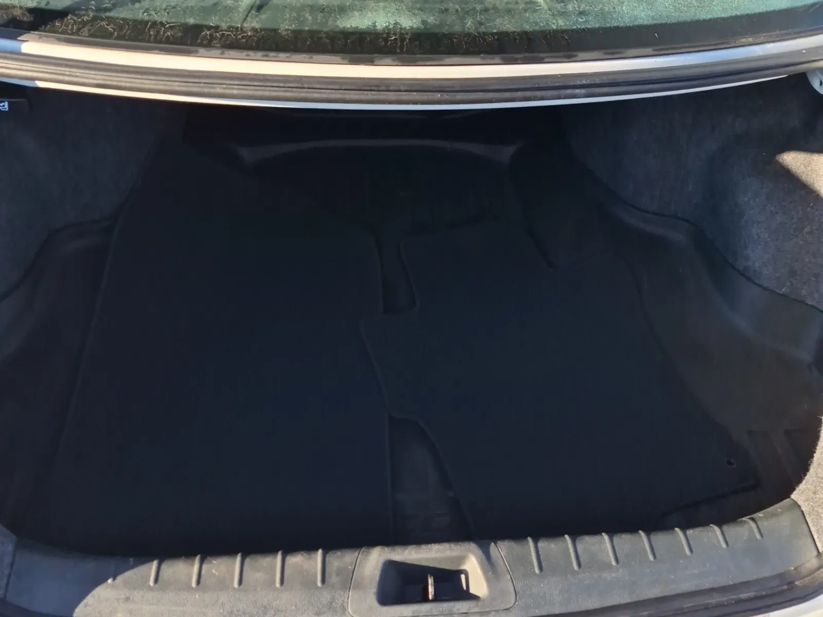 Cargo Area Photo