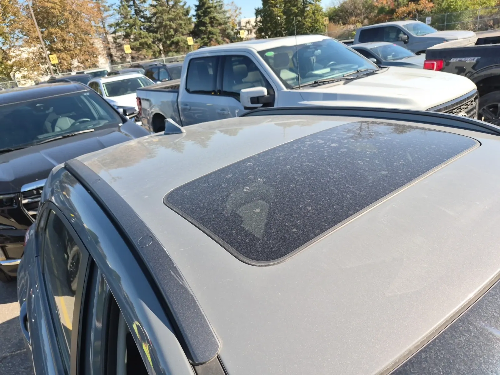 Exterior Roof Photo