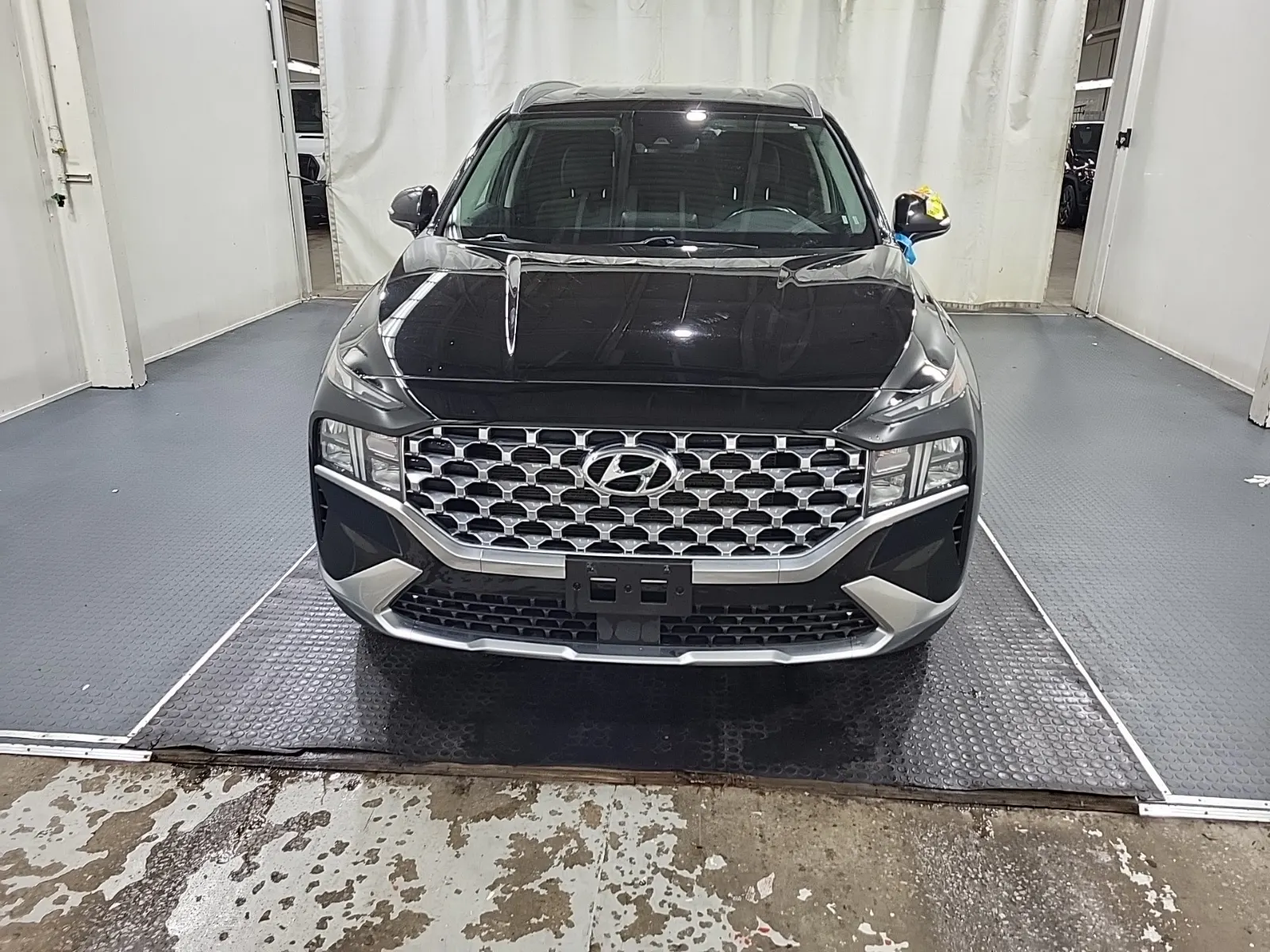 Full Front Photo