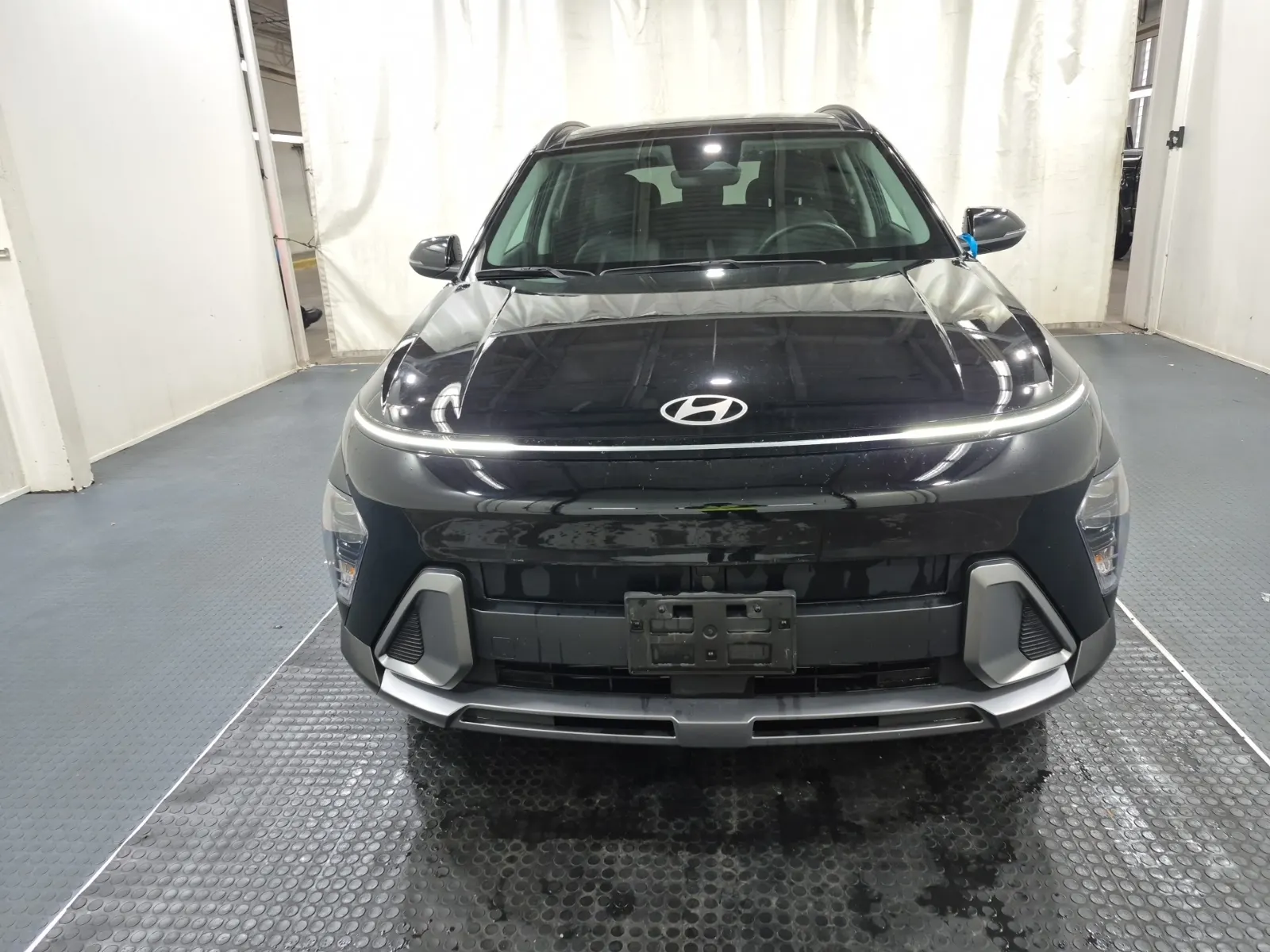 Full Front Photo