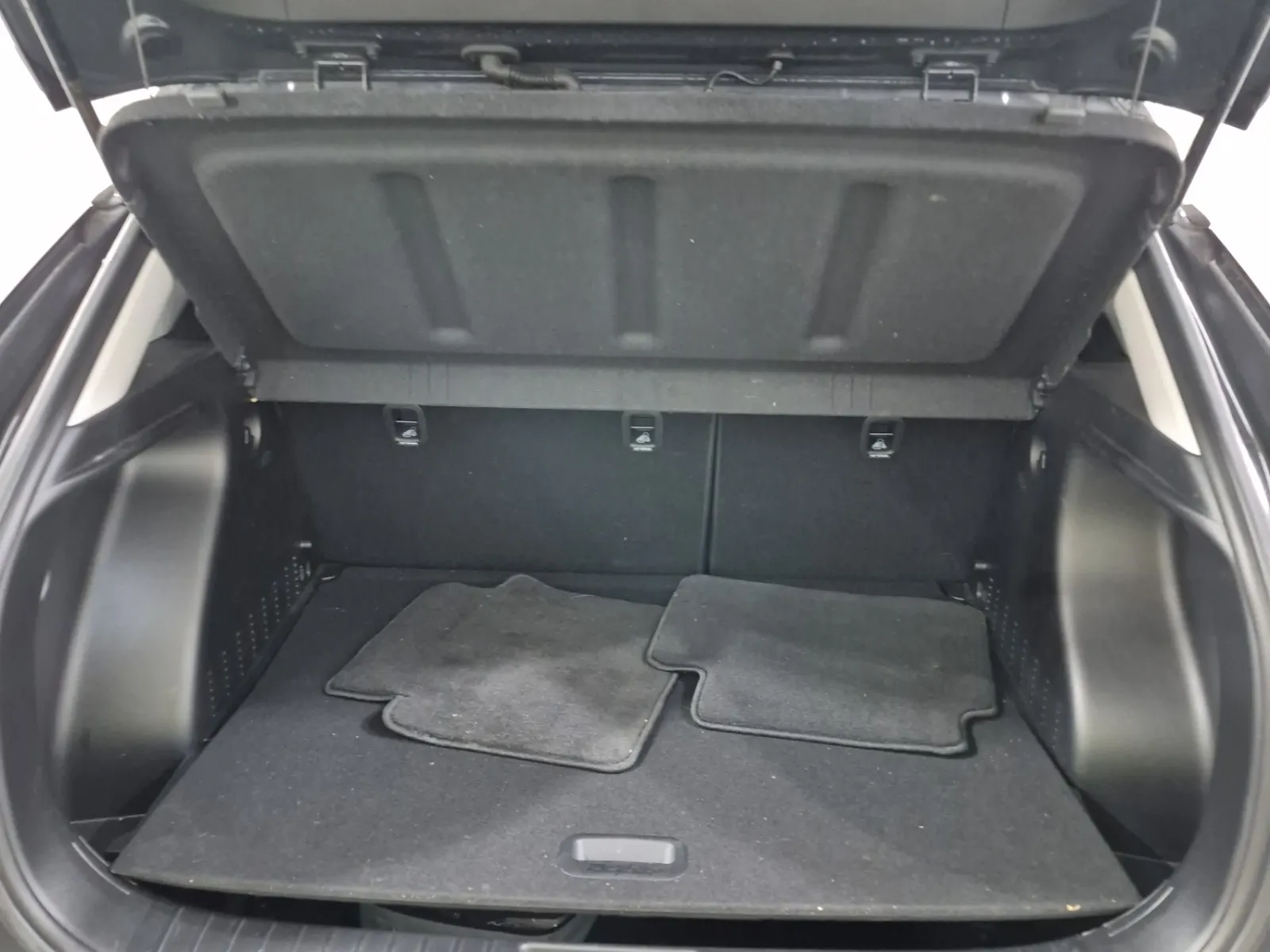 Cargo Area Photo