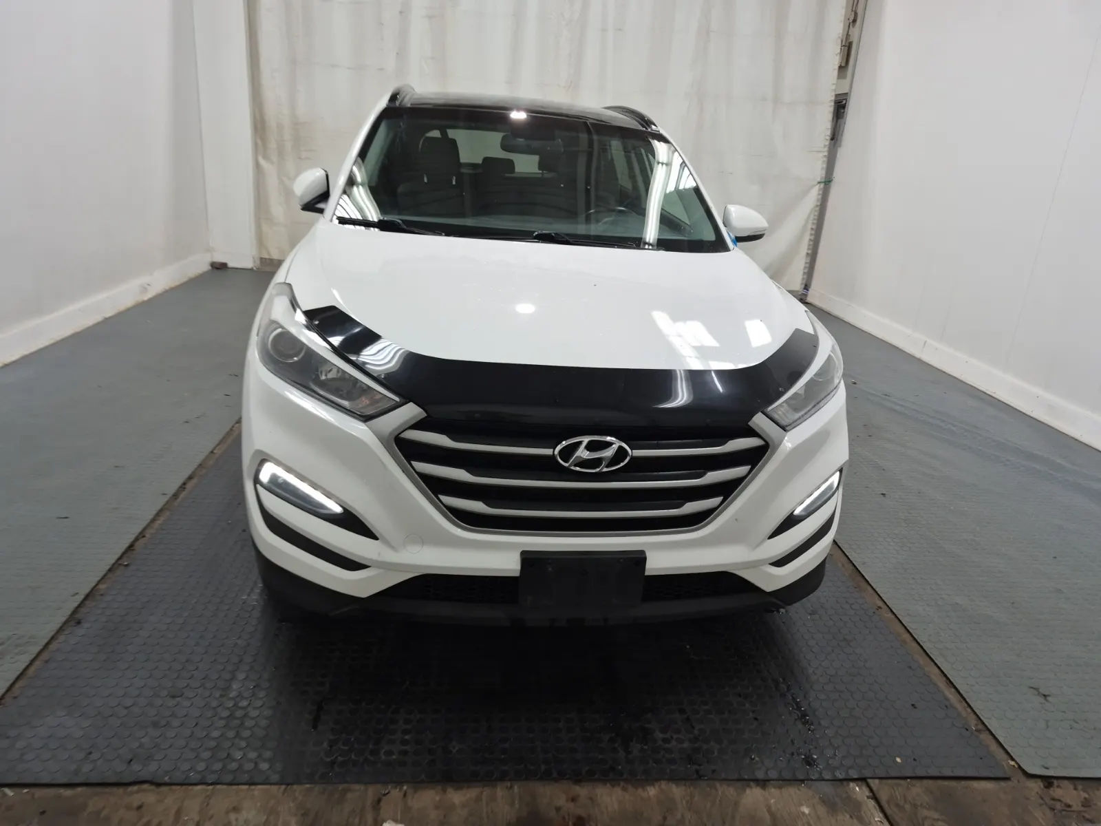 Full Front Photo
