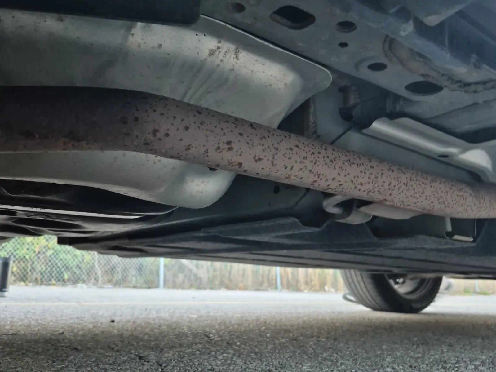 Undercarriage - Passenger Photo