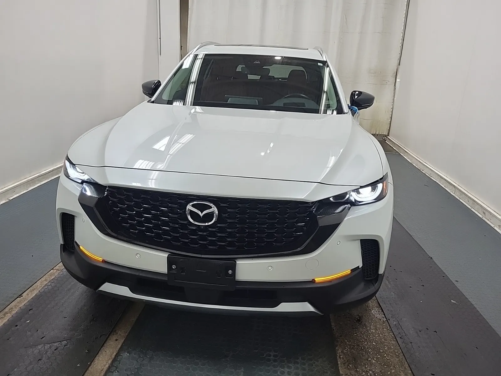 Full Front Photo