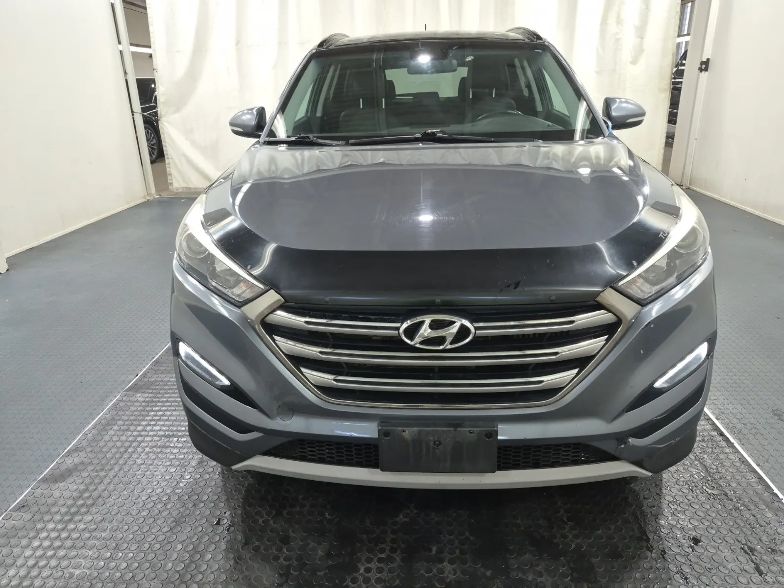 Full Front Photo