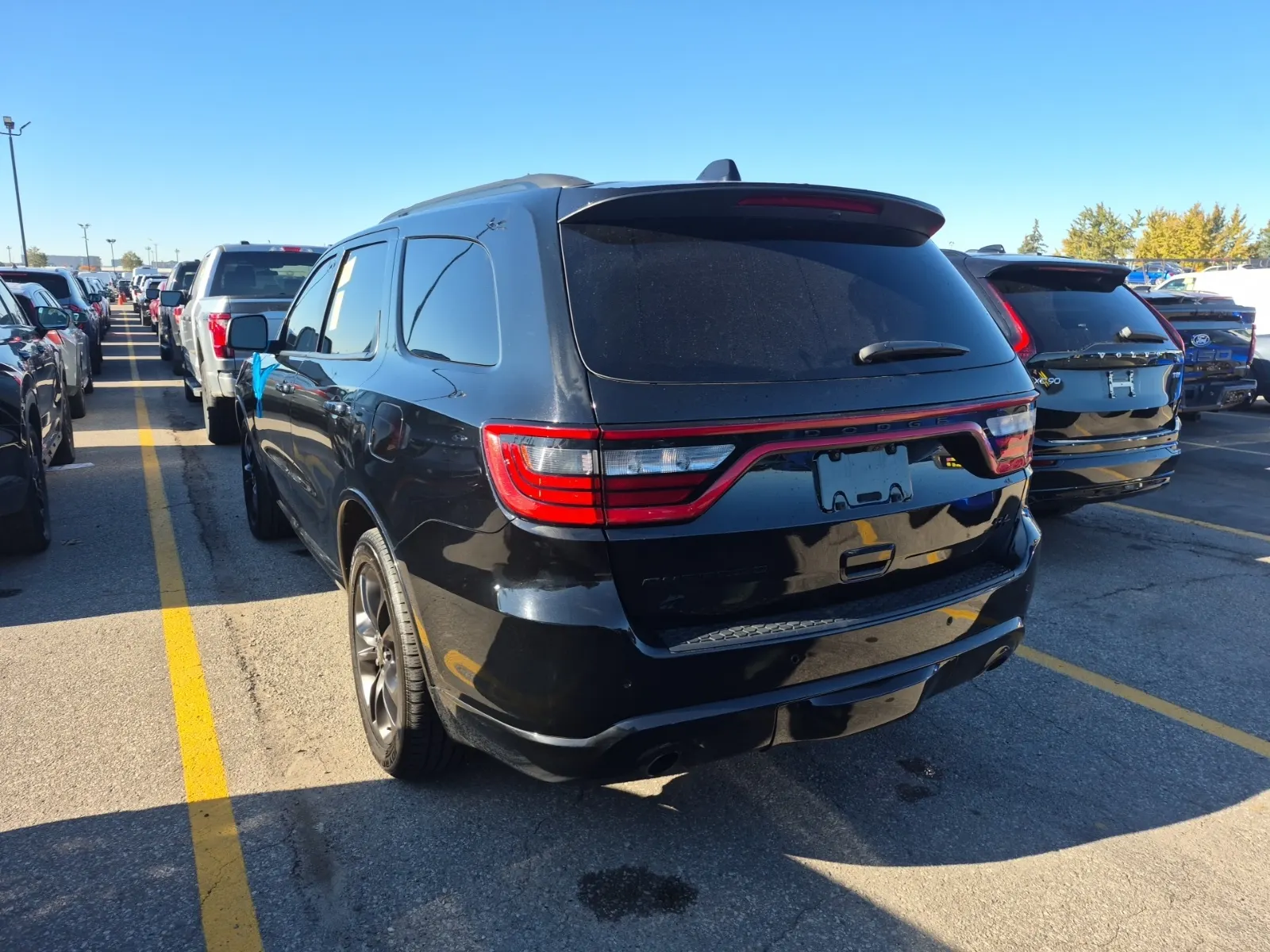 Driver Rear 3/4 Photo