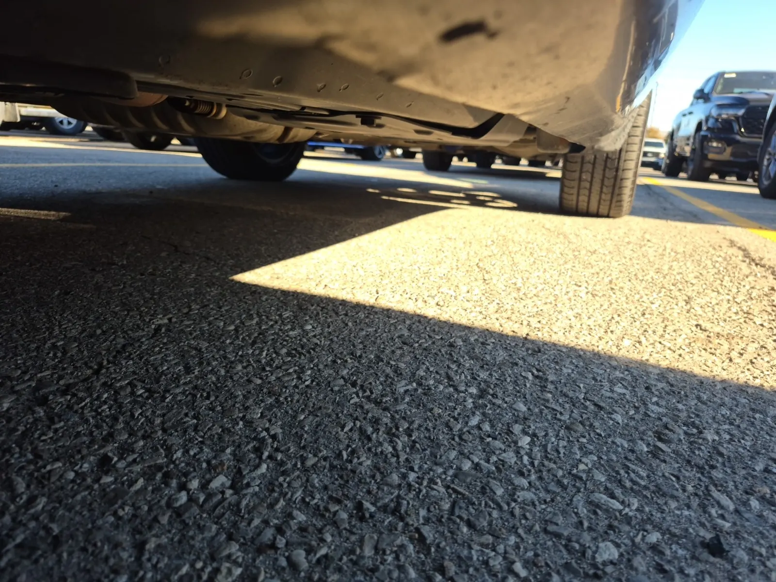 Undercarriage - Driver Photo