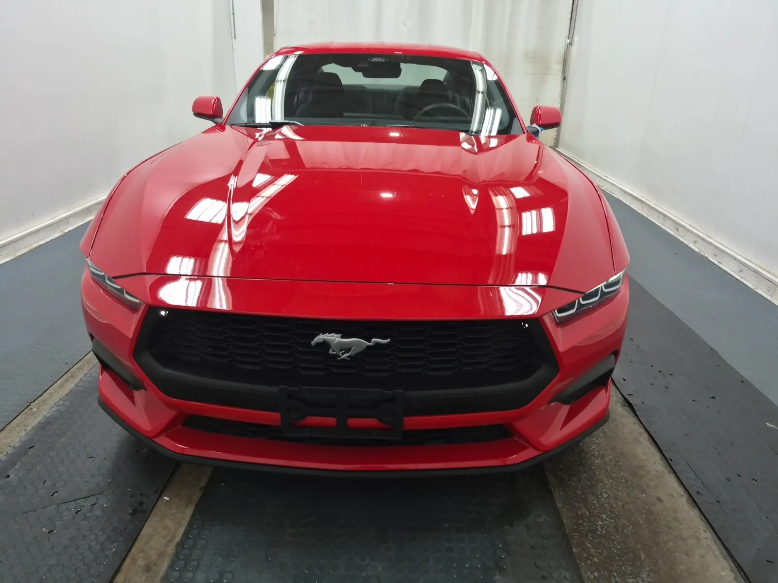 Full Front Photo