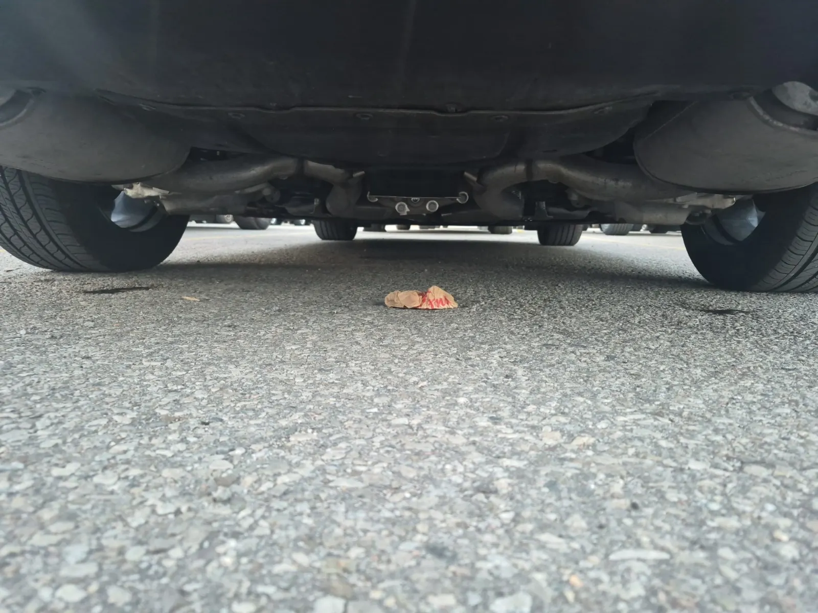 Undercarriage - Rear Photo