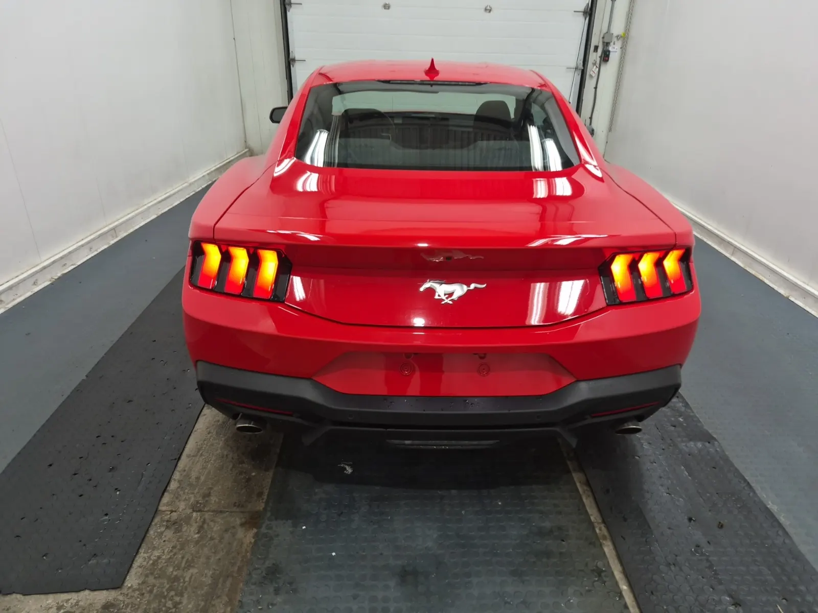 Full Rear Photo