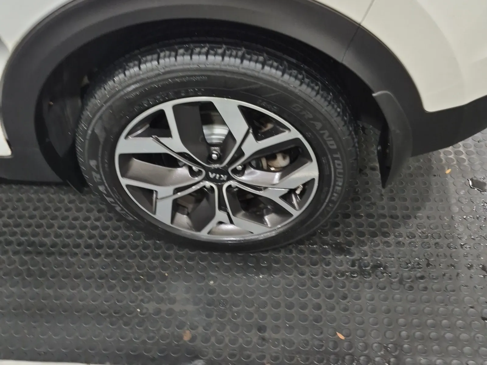 Left Rear Wheel/Tire Photo