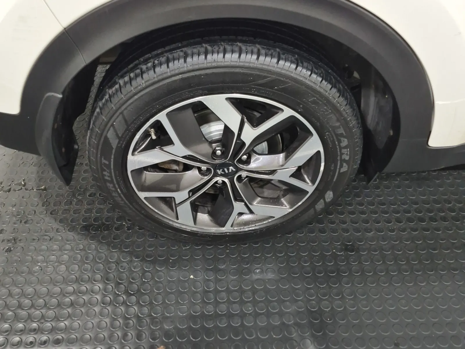 Right Rear Wheel/Tire Photo