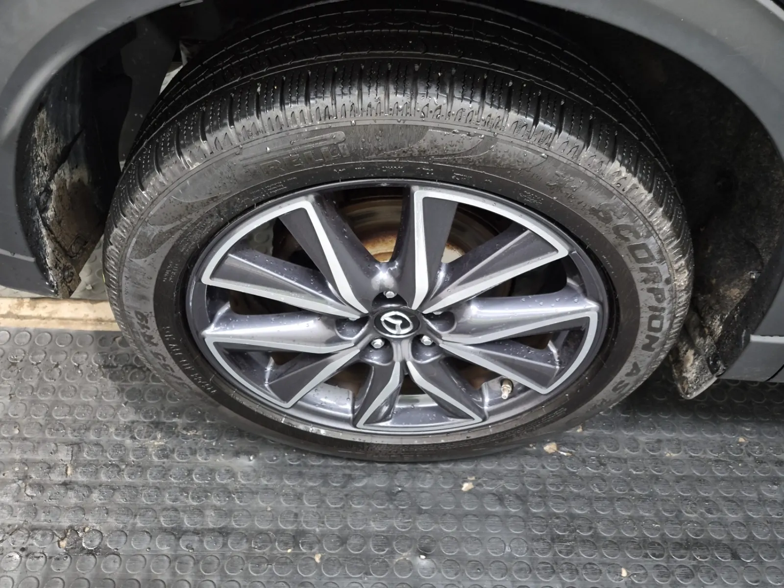 Right Rear Wheel/Tire Photo