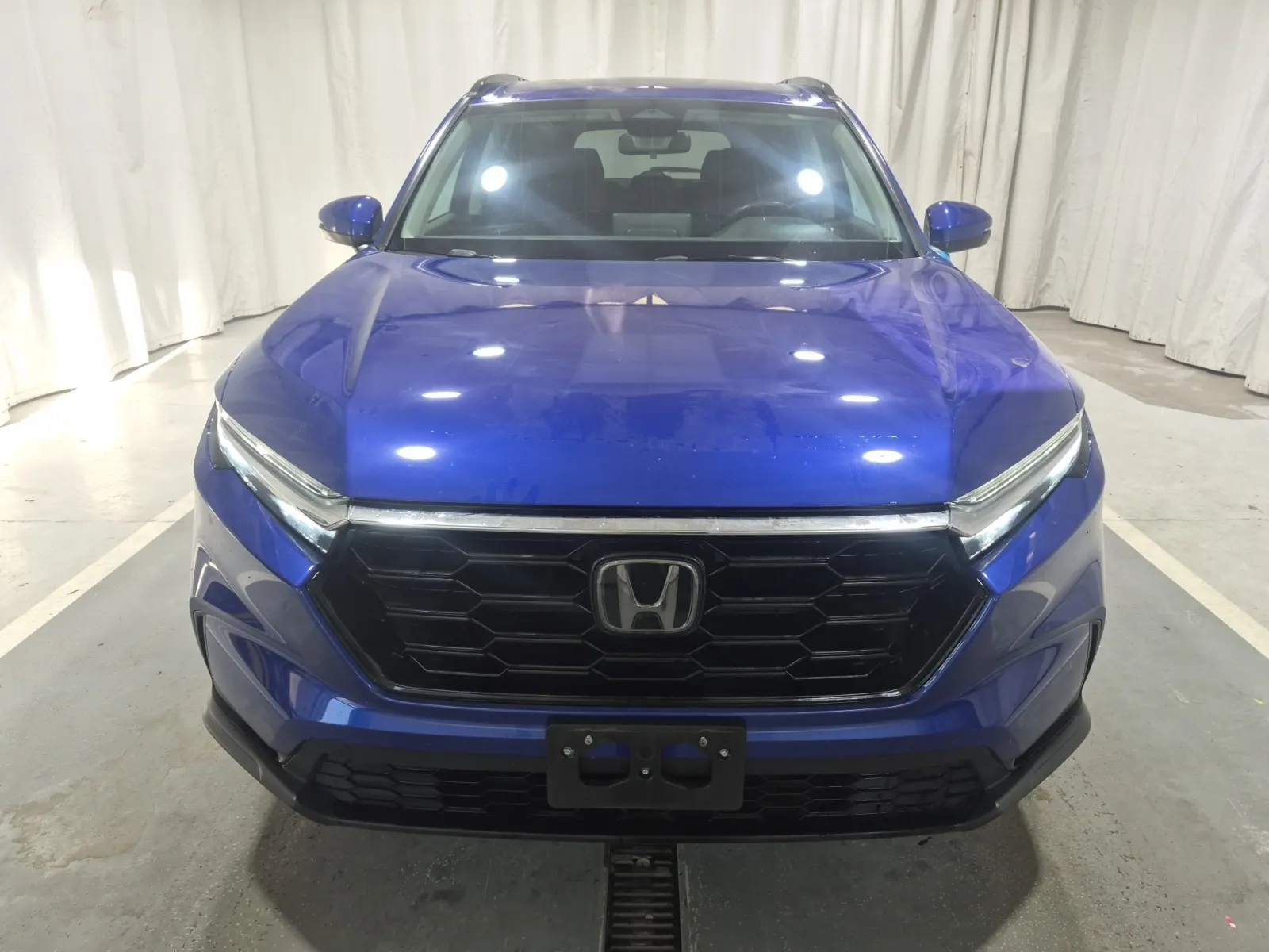 Full Front Photo