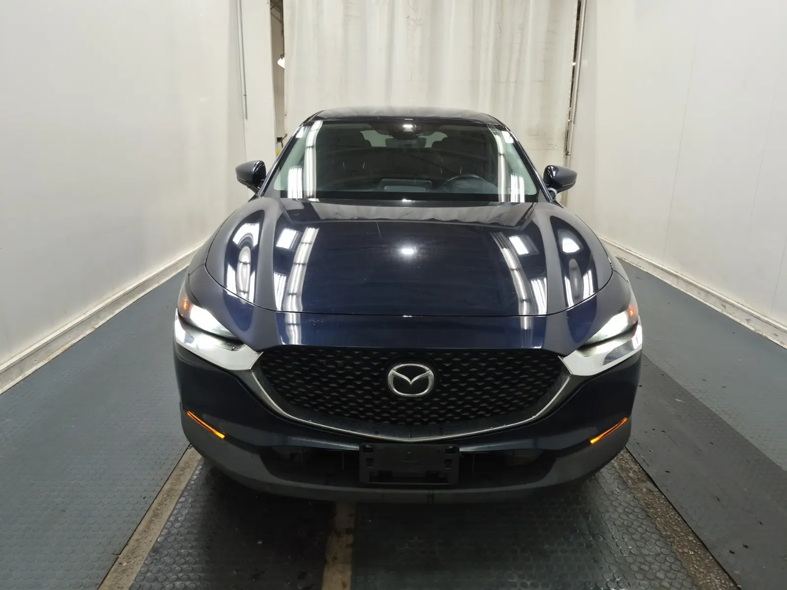 Full Front Photo