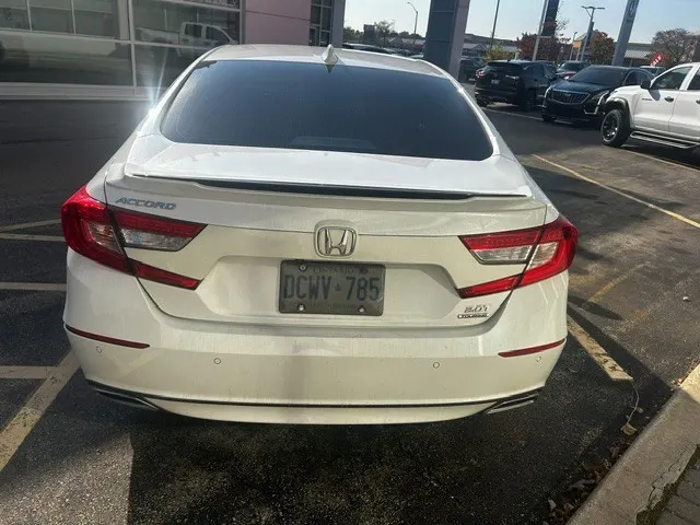 Back