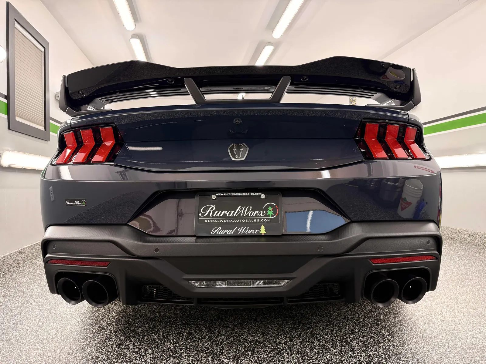 Back