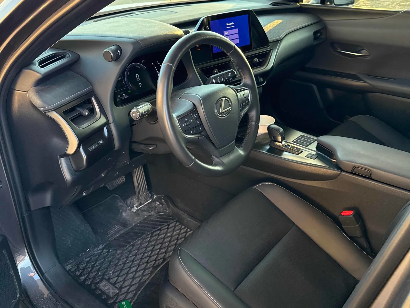 Interior driver side