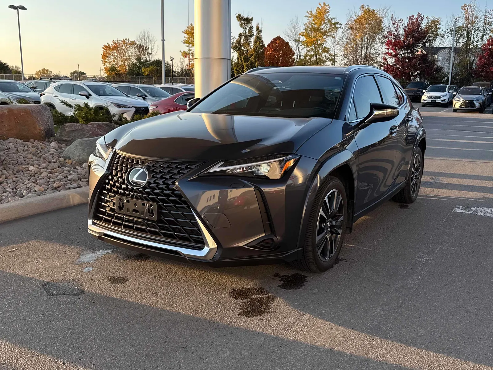 2025 Lexus UX