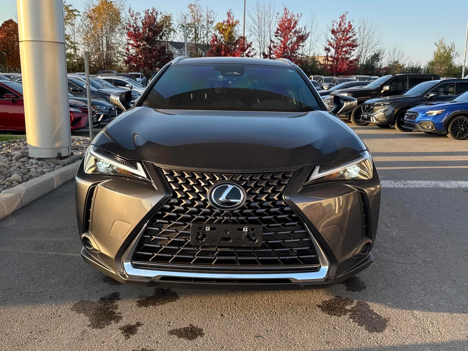 Front