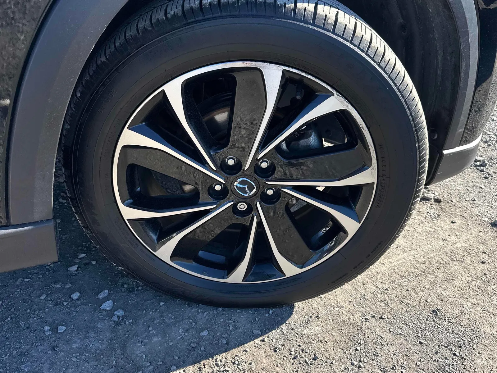 Tire