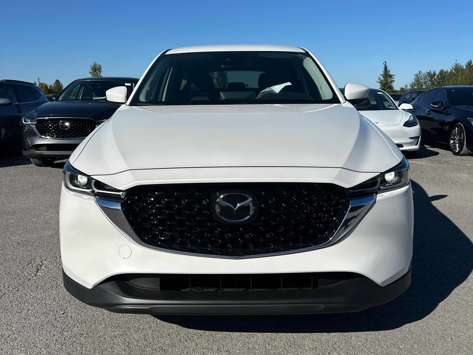 Front