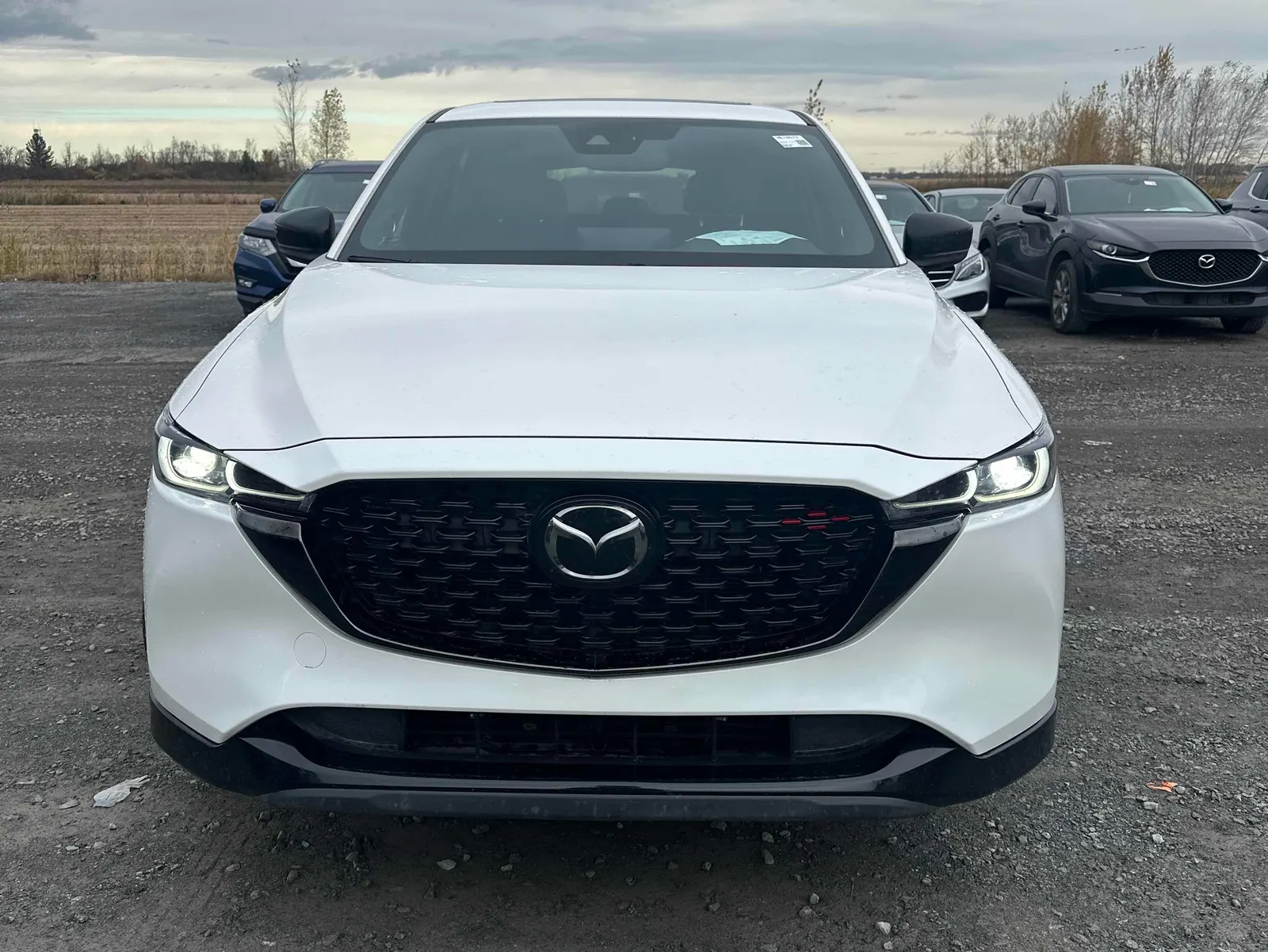 Front
