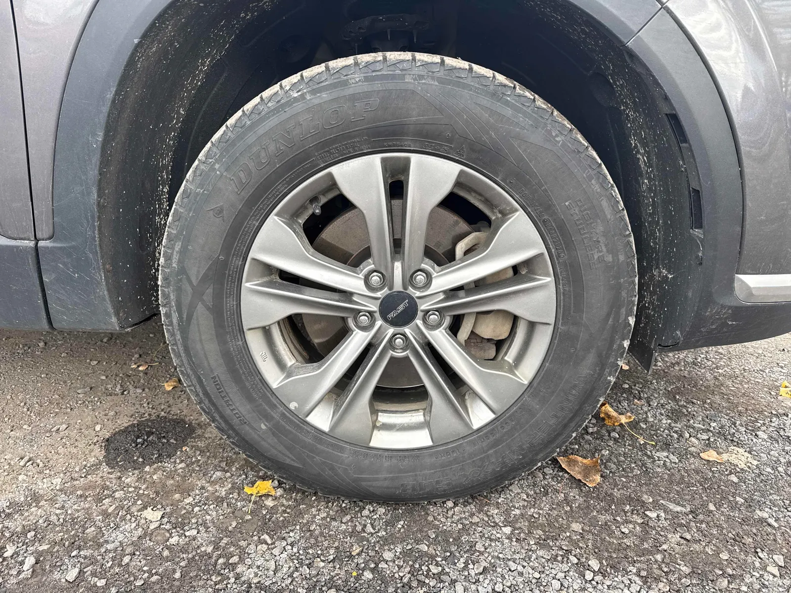 Tire