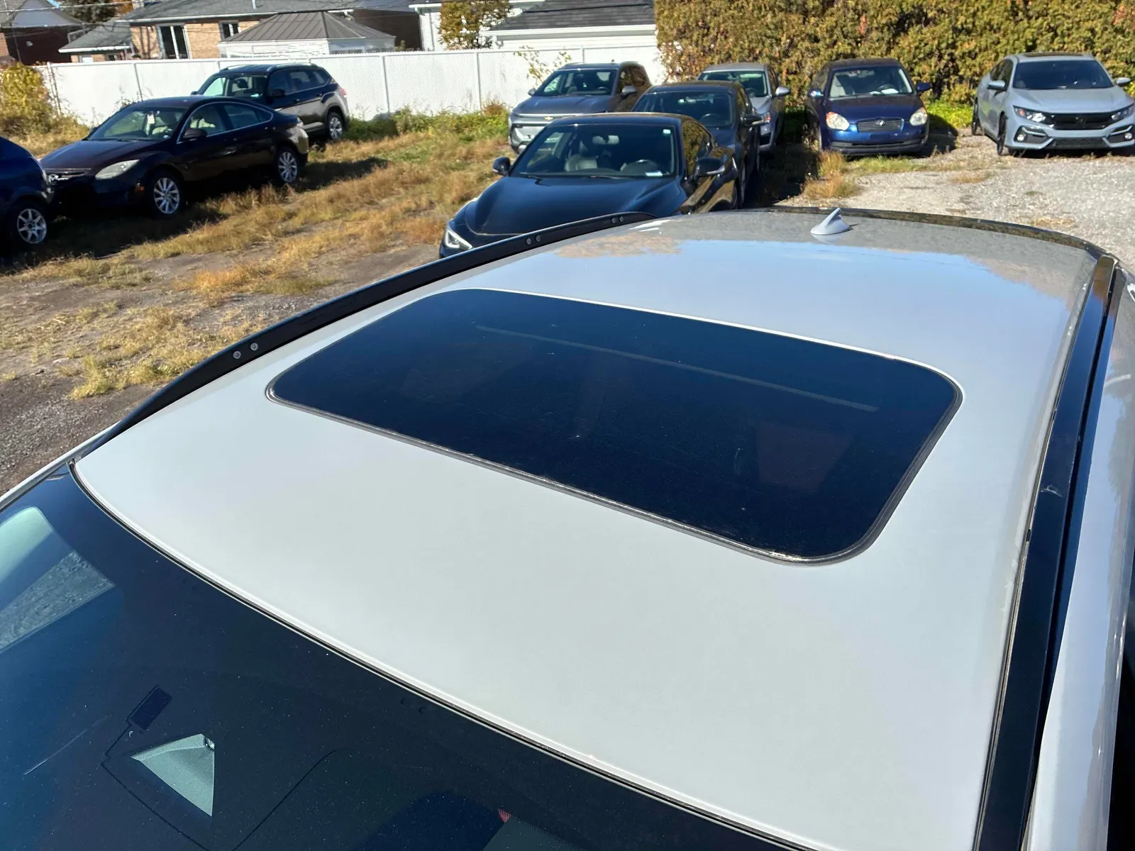 Additional Photo