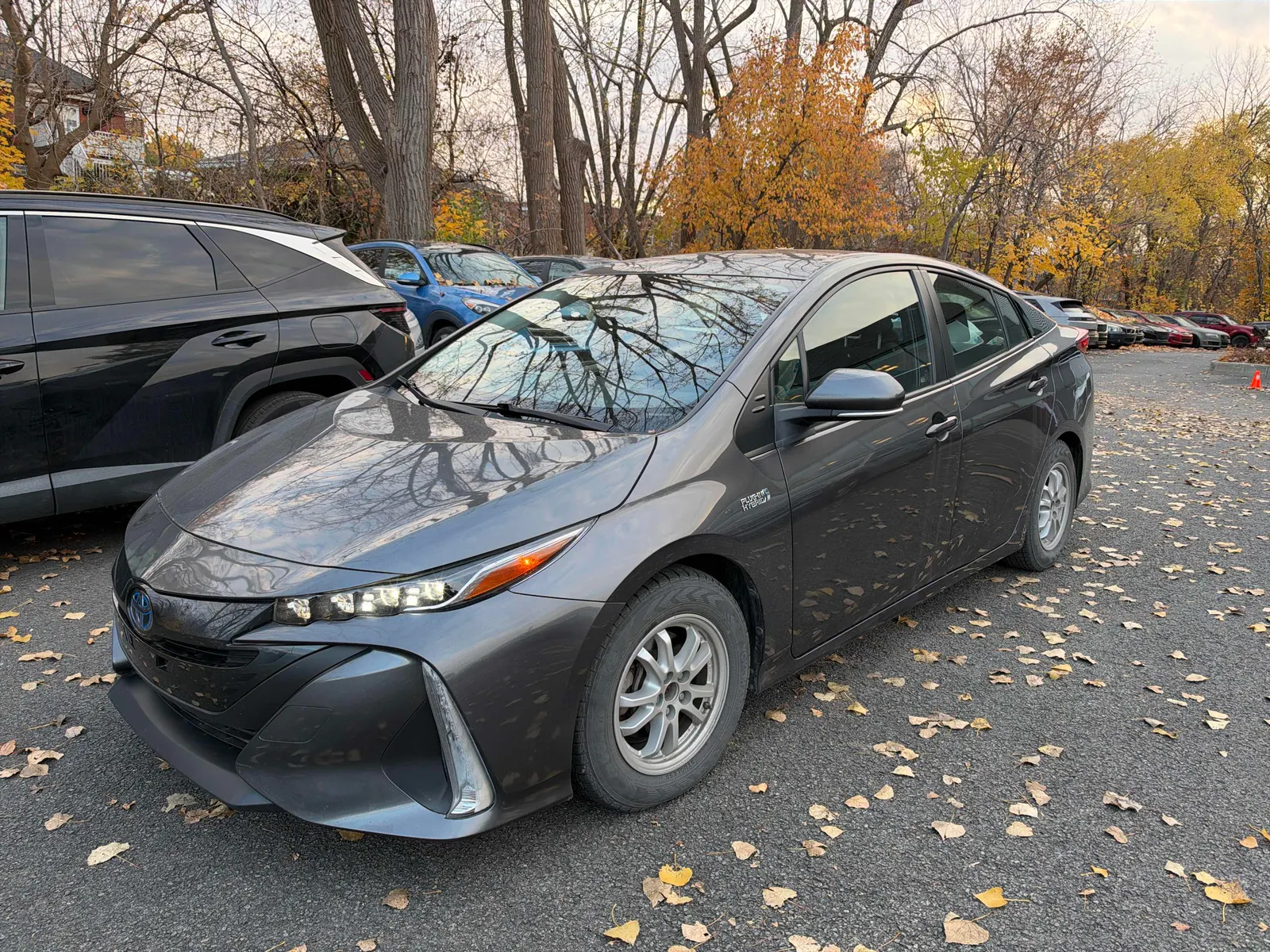 3/4 Front (Main image)