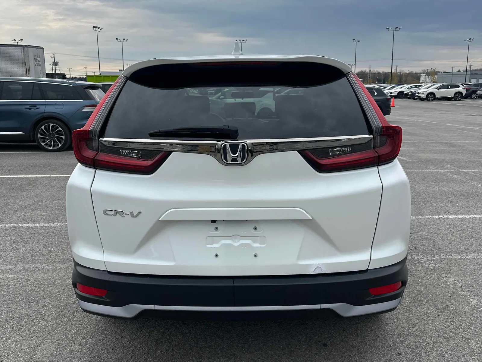 Back