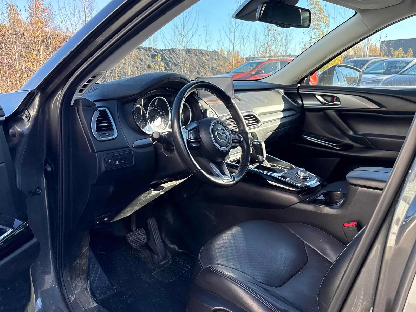 Interior driver side