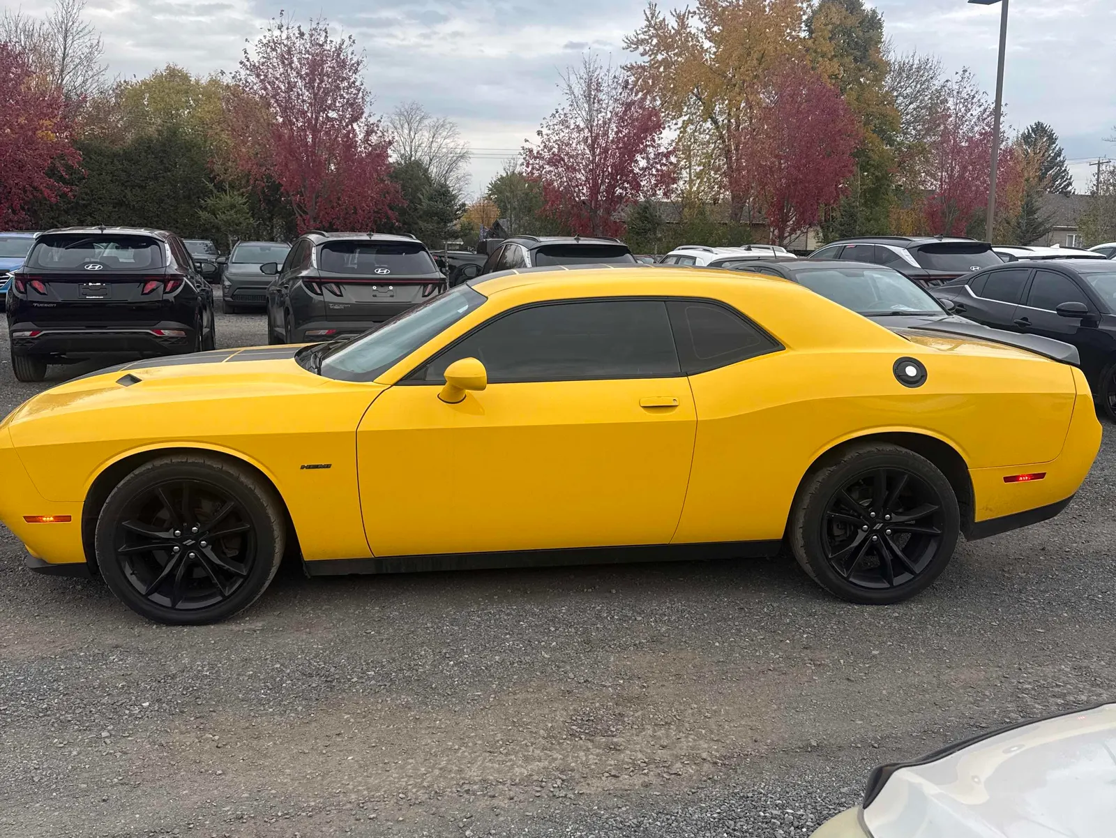 Driver side