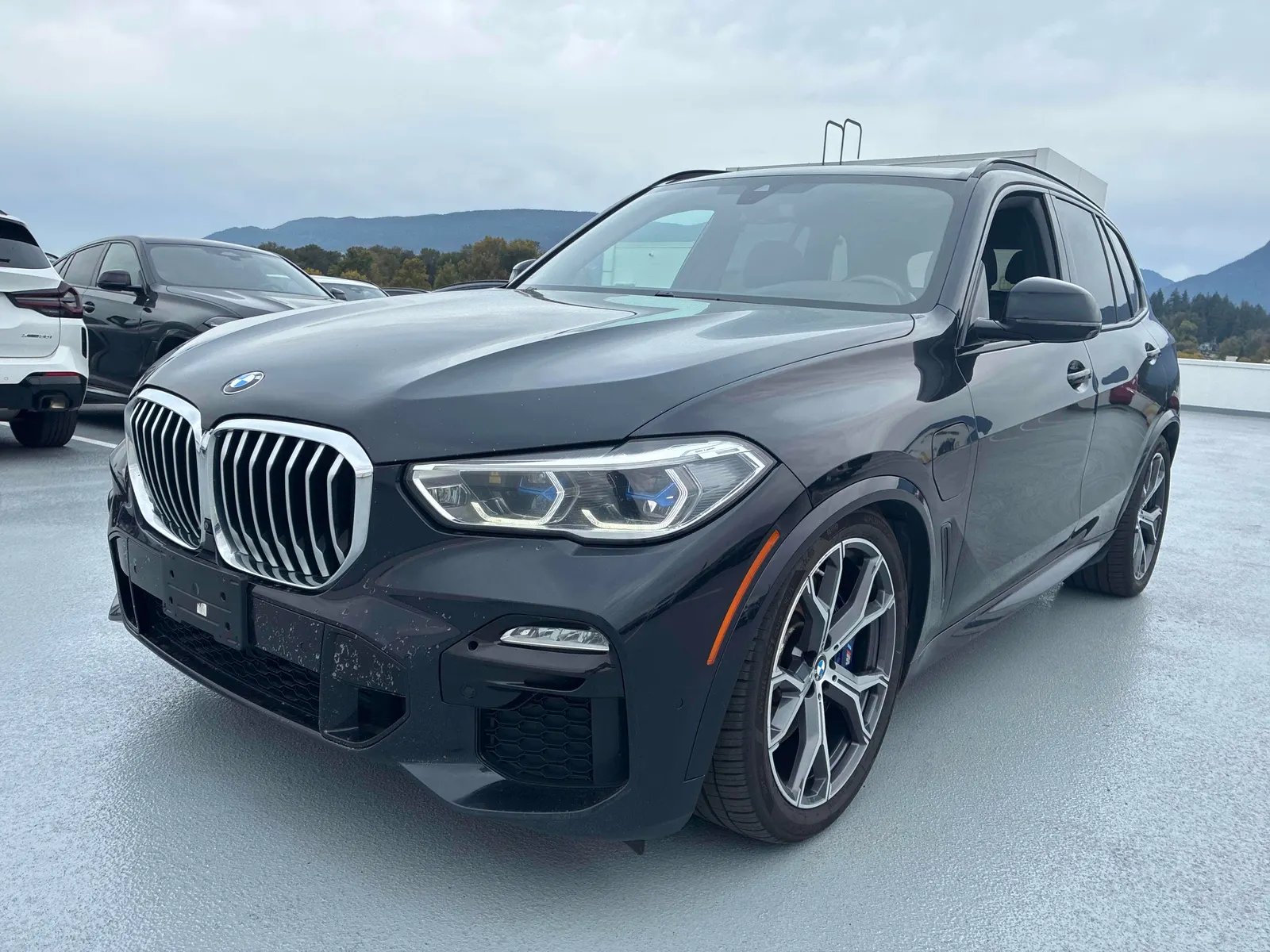 2021 BMW X5