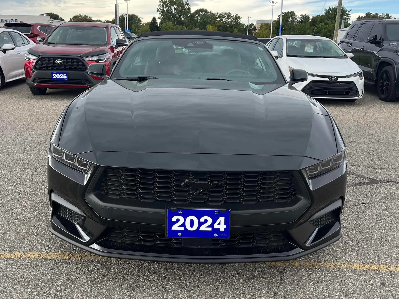 Front
