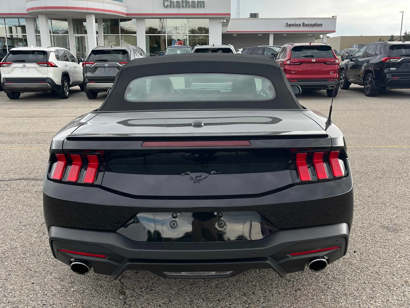 Back