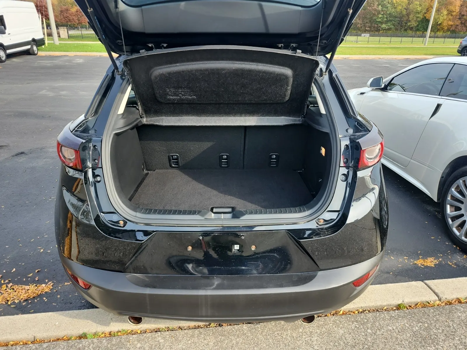 Cargo Area Photo