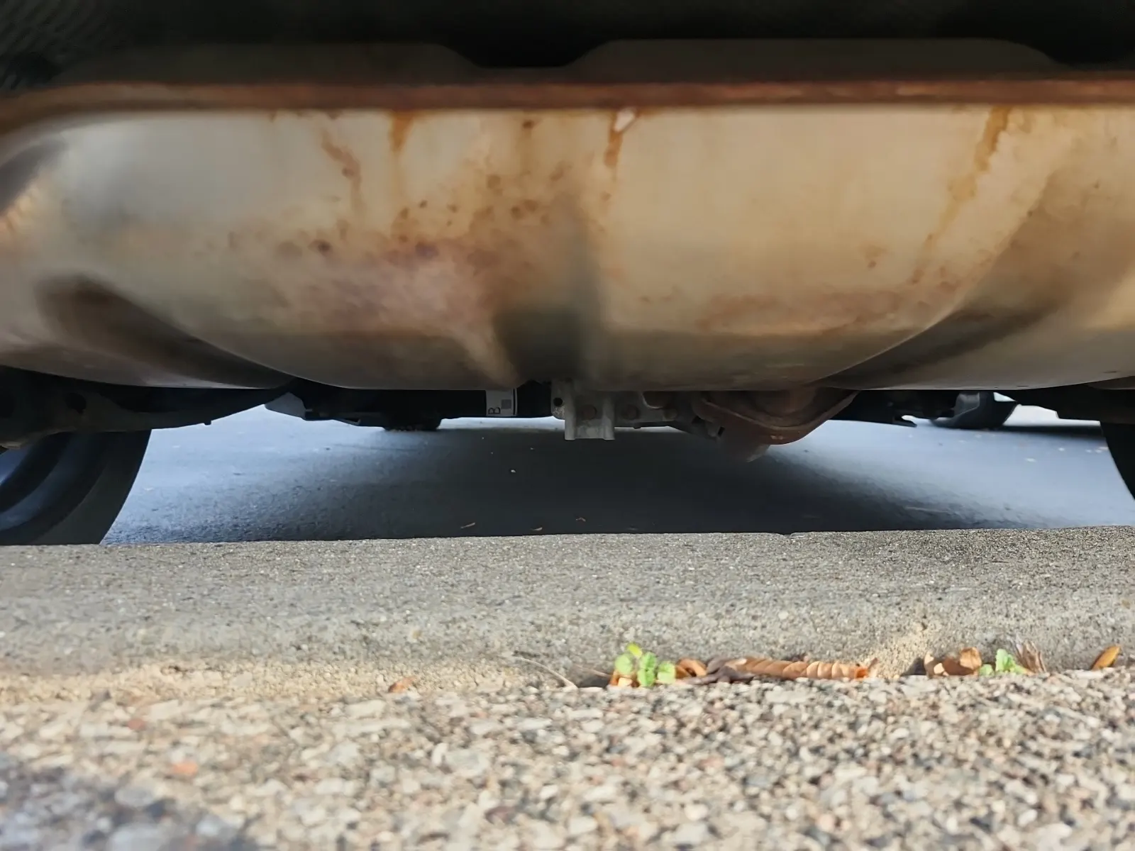 Undercarriage - Rear Photo